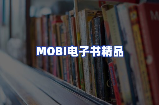 外文电子书产品
