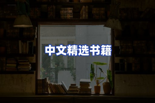 中文精选书籍